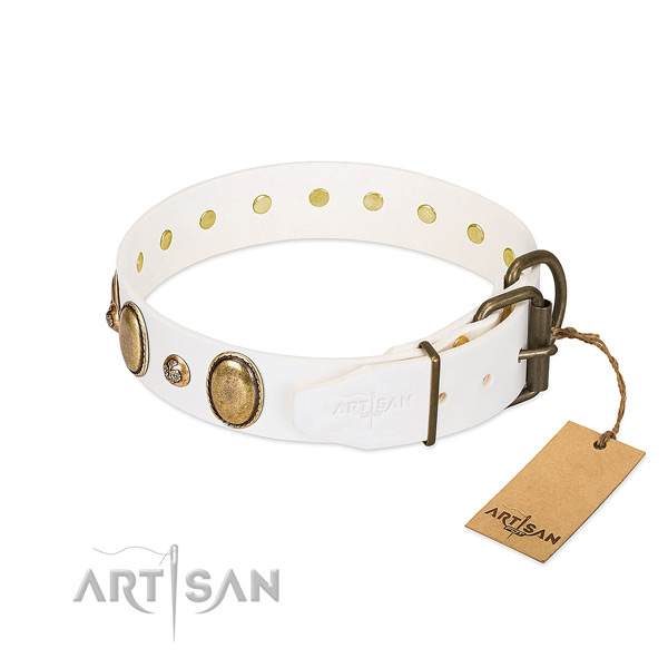 Fancy walking full grain leather dog collar