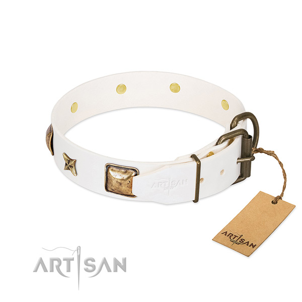 Full grain leather dog collar with strong D-ring and studs