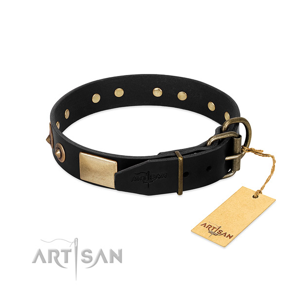 Strong buckle on basic training dog collar