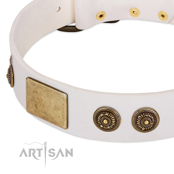 Studded dog collar made for your attractive canine