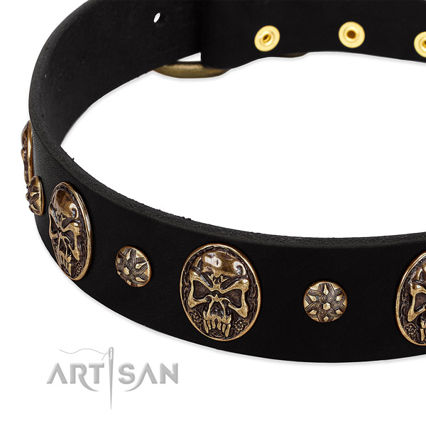 Corrosion resistant decorations on natural genuine leather dog collar for your four-legged friend