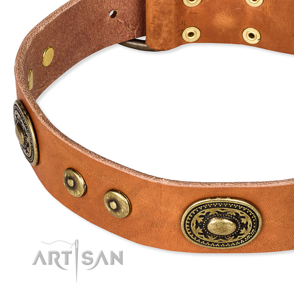 Natural genuine leather dog collar made of quality material with adornments