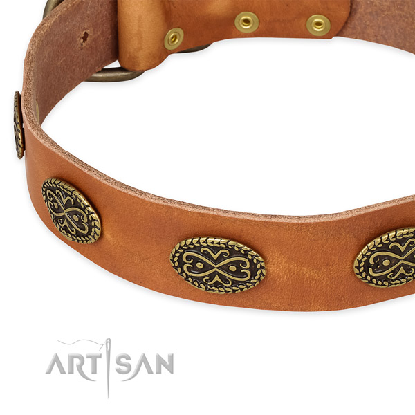 Studded genuine leather collar for your handsome dog