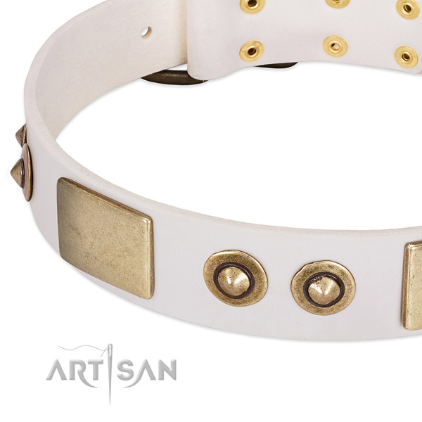 Corrosion proof decorations on genuine leather dog collar for your dog