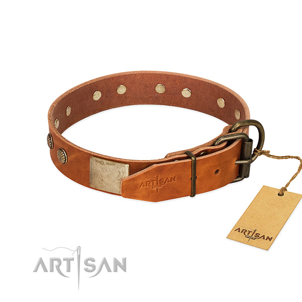 Corrosion resistant D-ring on handy use dog collar