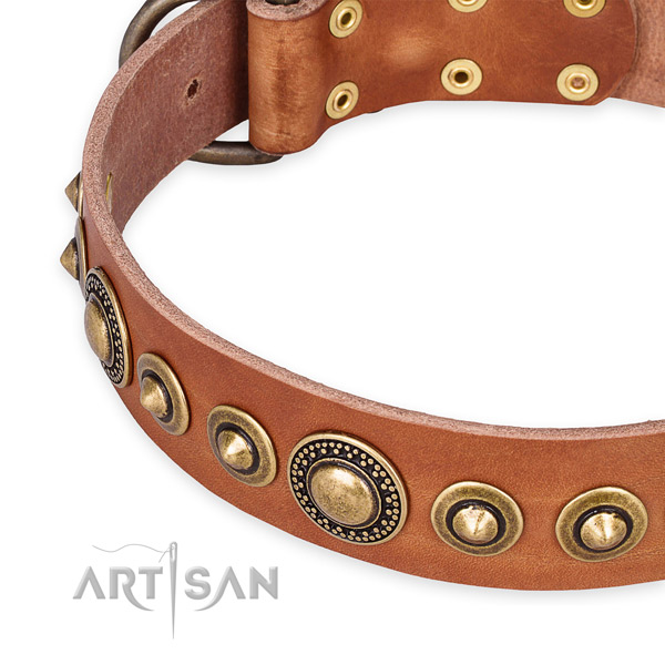 Soft to touch full grain genuine leather dog collar created for your impressive canine