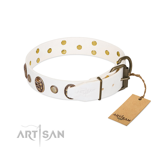 Rust-proof hardware on natural genuine leather collar for walking your doggie