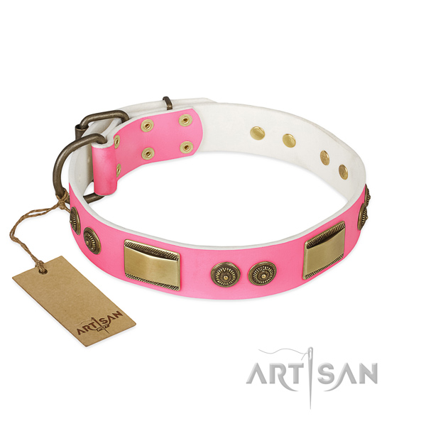 Amazing full grain leather dog collar for handy use