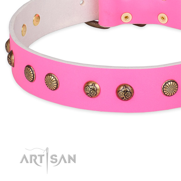 Inimitable leather collar for your beautiful canine