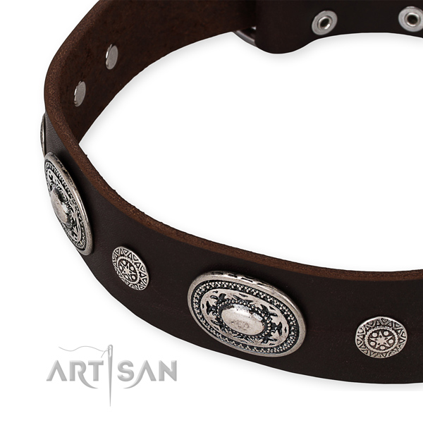 Best quality full grain leather dog collar crafted for your stylish doggie