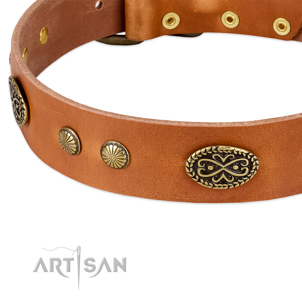 Corrosion resistant hardware on leather dog collar for your dog