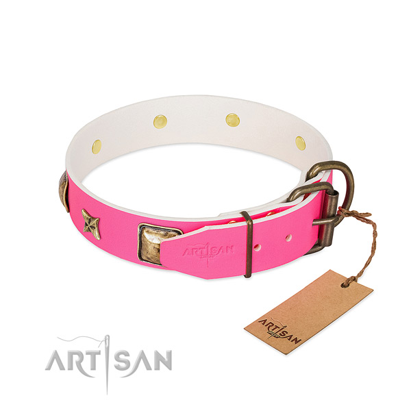 Reliable hardware on leather collar for stylish walking your four-legged friend
