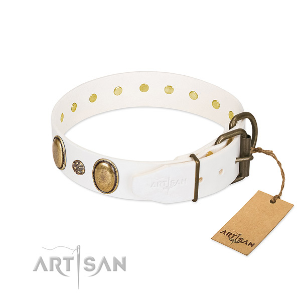 Fancy walking gentle to touch leather dog collar