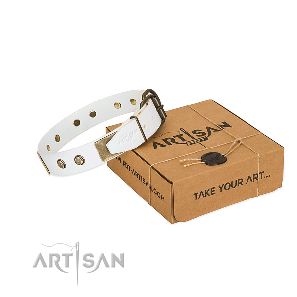 Durable hardware on dog collar for stylish walking