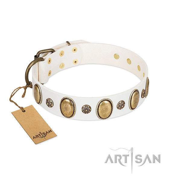 Daily use flexible genuine leather dog collar with embellishments