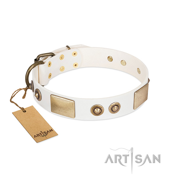 Reliable embellishments on full grain genuine leather dog collar for your four-legged friend