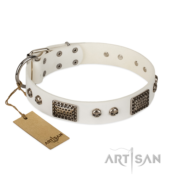 Easy to adjust full grain natural leather dog collar for daily walking your doggie