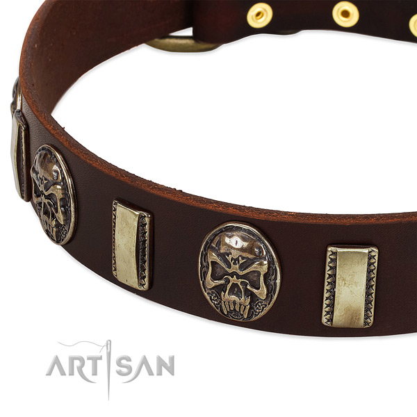 Reliable embellishments on full grain natural leather dog collar for your canine
