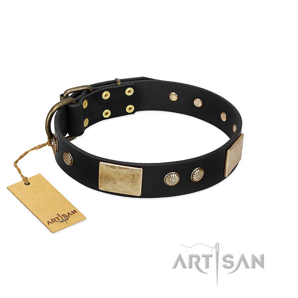 Adjustable leather dog collar for stylish walking your four-legged friend