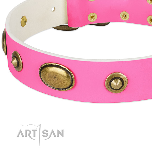 Corrosion resistant fittings on full grain genuine leather dog collar for your four-legged friend