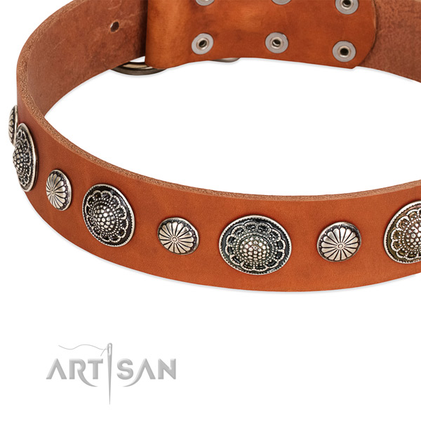 Full grain genuine leather collar with corrosion proof traditional buckle for your lovely canine