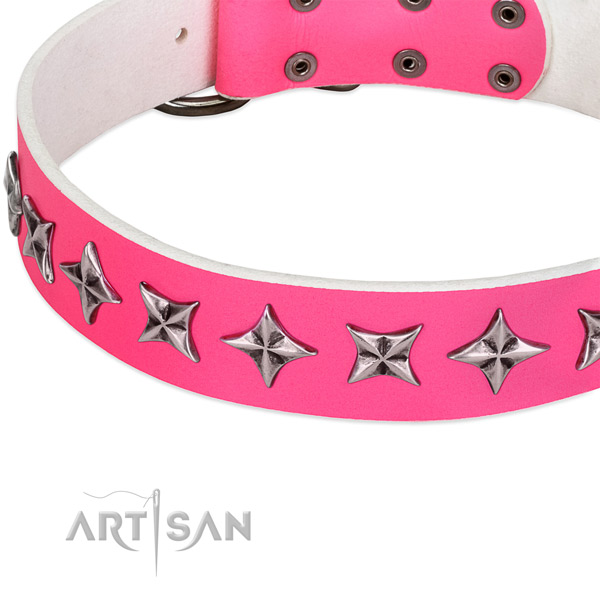 Daily use studded dog collar of finest quality full grain leather