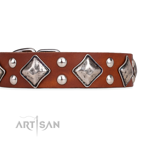 Full grain natural leather dog collar with significant durable adornments