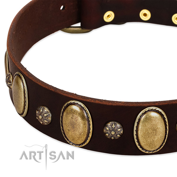 Walking reliable full grain natural leather dog collar