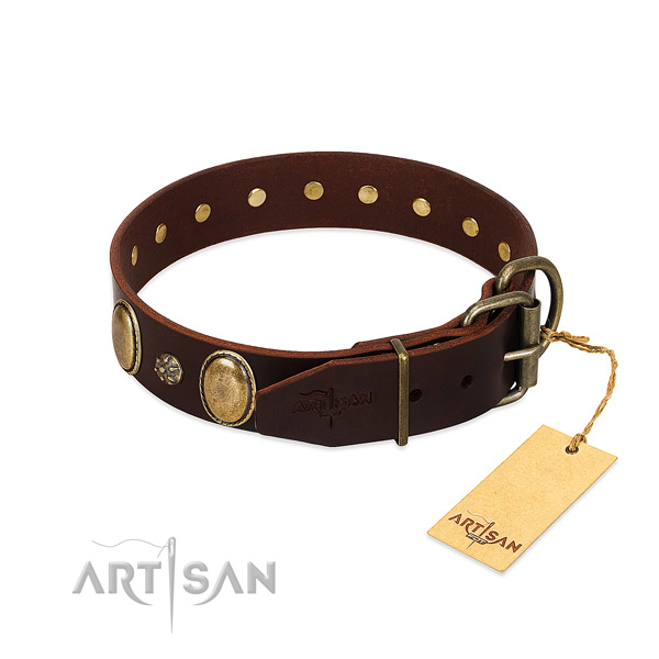 Everyday walking best quality genuine leather dog collar