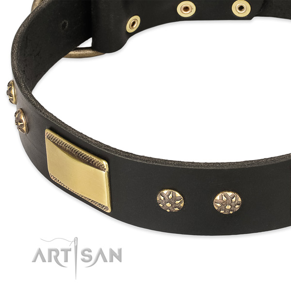 Corrosion resistant embellishments on full grain natural leather dog collar for your four-legged friend