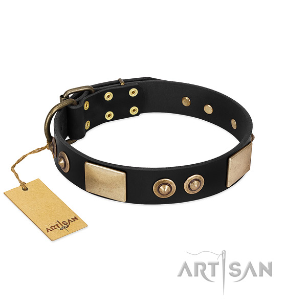 Easy wearing genuine leather dog collar for daily walking your dog