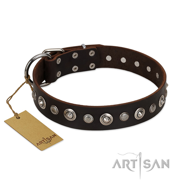 Strong full grain natural leather dog collar with remarkable decorations