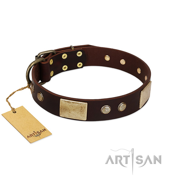 Adjustable full grain natural leather dog collar for stylish walking your canine