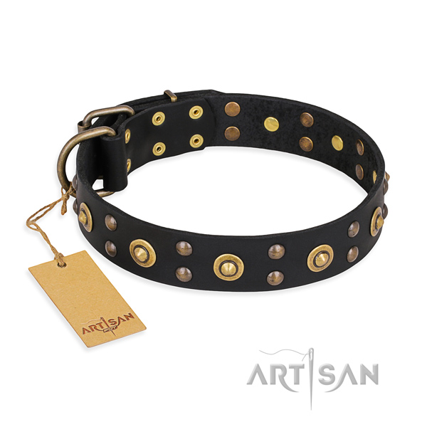Daily use convenient dog collar with durable fittings