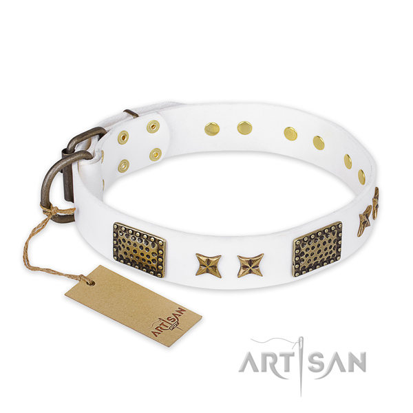 Decorated full grain leather dog collar with corrosion proof D-ring