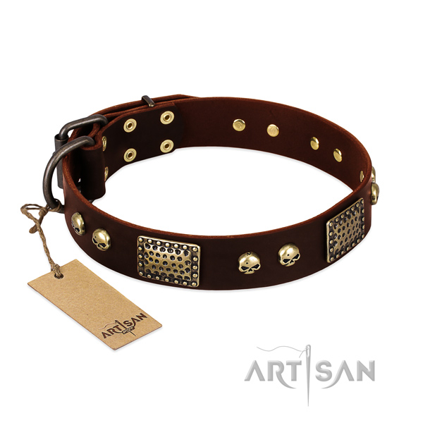 Easy wearing leather dog collar for daily walking your canine