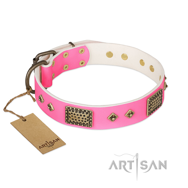 Adjustable natural genuine leather dog collar for stylish walking your dog