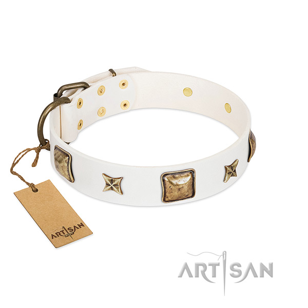 Embellished genuine leather dog collar for fancy walking