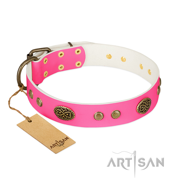 Strong embellishments on leather dog collar for your pet