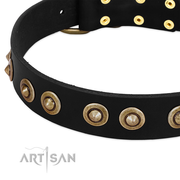 Reliable traditional buckle on full grain natural leather dog collar for your four-legged friend