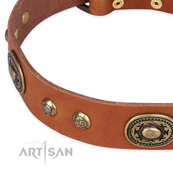 Easy wearing full grain leather collar for your lovely dog