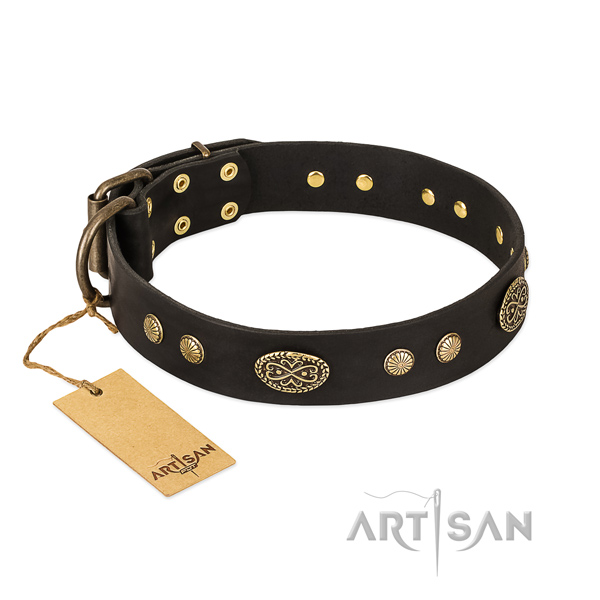 Reliable adornments on genuine leather dog collar for your canine