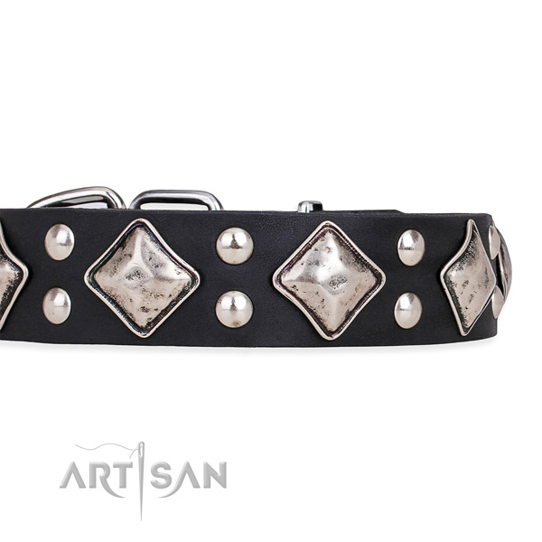 Full grain genuine leather dog collar with impressive strong studs