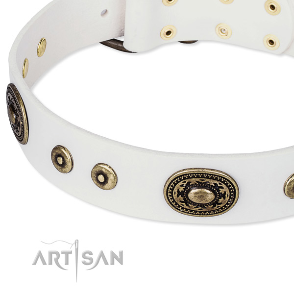 Leather dog collar made of flexible material with embellishments
