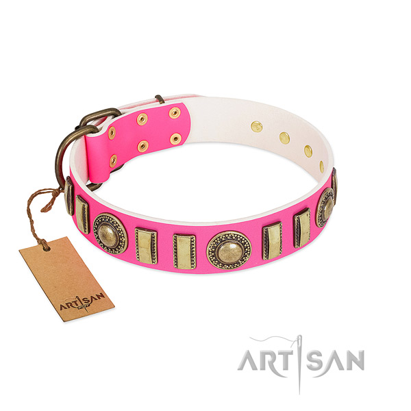 Stylish full grain genuine leather dog collar with reliable fittings