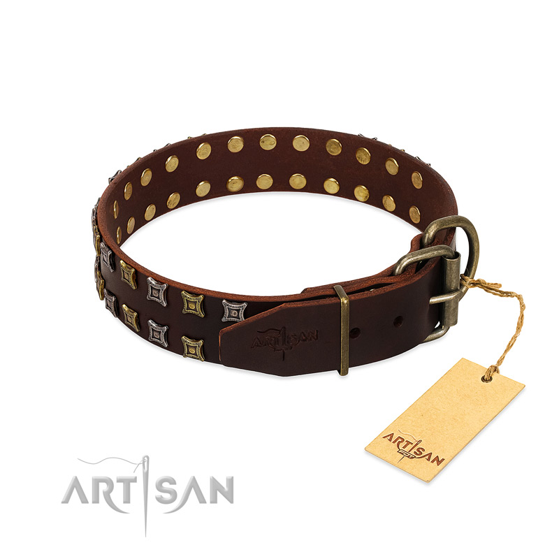 Fido's Pleasure FDT Artisan Brown Leather Dog Collar with Amazing