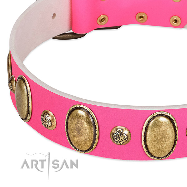 Daily walking high quality full grain leather dog collar