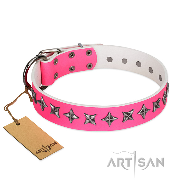 Top notch genuine leather dog collar with unique studs