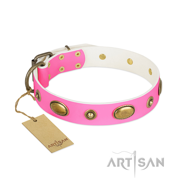 Top quality natural leather collar for your dog