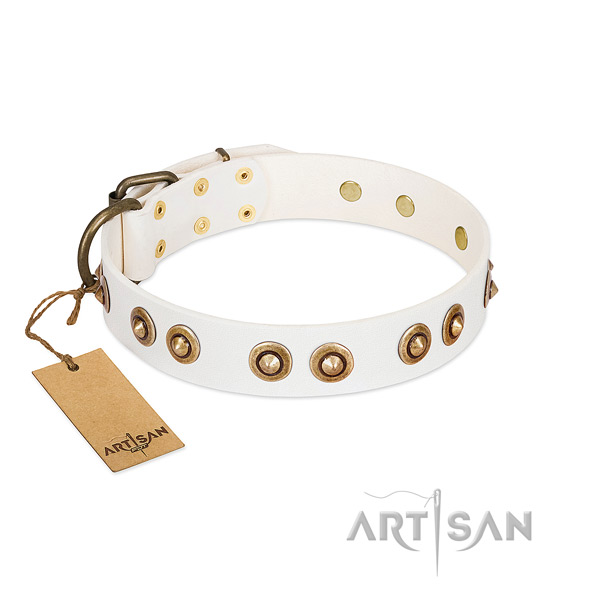 Adorned full grain natural leather collar for your pet